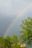 Fototapeta Tęcza - Through the green leaves of the trees an amazing rainbow is seen in the sky after the rain