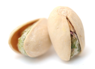 Sticker - two pistachio