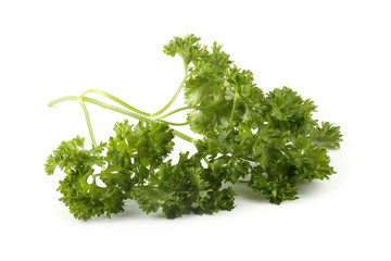 Sticker - Parsley