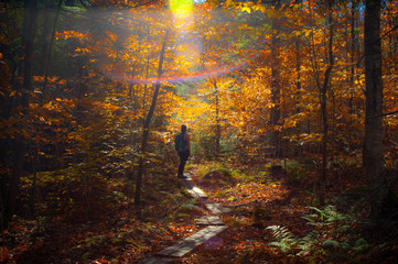 Fall Foliage Hiking Upstate New York Adirondacks