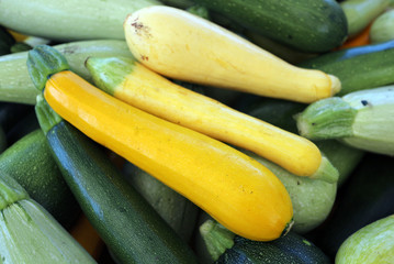 Canvas Print - organic squash from garden