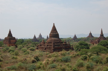 Canvas Print - TEMPLO EN BAGAN 