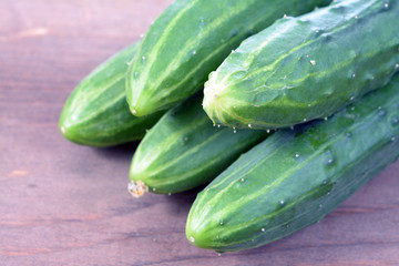 Wall Mural - a group organic cucumbers