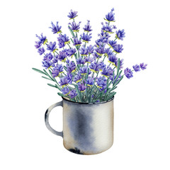 Watercolor bouquet of lavender flowers in a mug on a white background. Hand painted watercolor illustration.