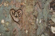 Close-up Of Heart Shape On Wood