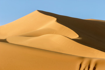 landscape of golden sand dune in sahara desert