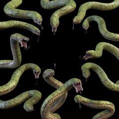 Wall Mural - 13 large toothed snakes. 3d rendering