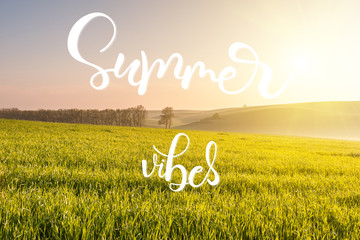 Wall Mural - summer landscape with morning sunny meadow