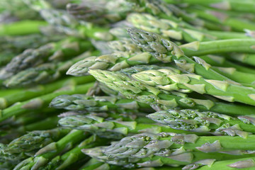 Sticker -  asparagus bunches