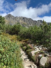 mountain landscape with blue sky