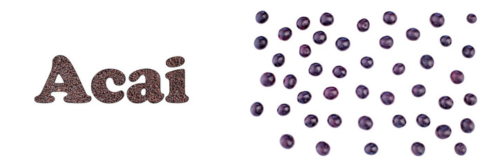 Sticker - Acai berries, the organic fruit of the Amazon - Euterpe oleracea