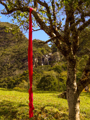 Red fabric with waterfall in tree