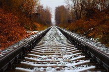 Low Angle View Of Train Tracks Passing Through Forest