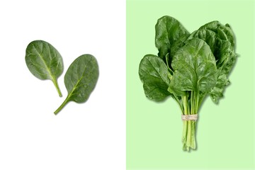 Sticker - Spinach.