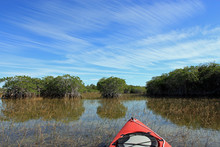 Red Kayak On Nine Mile Pond In Everglades National Park, Florida On Sunny Winter Afternoon.