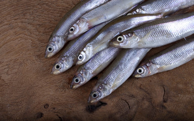 Sticker - Smelt fish on cutting board