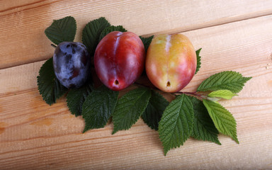 Sticker - Different color plums on table