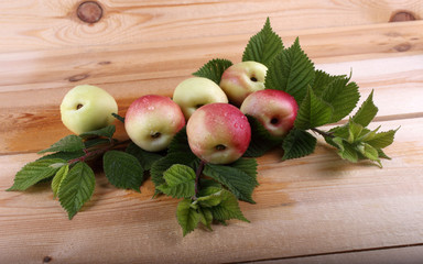 Wall Mural - Nectarines on table