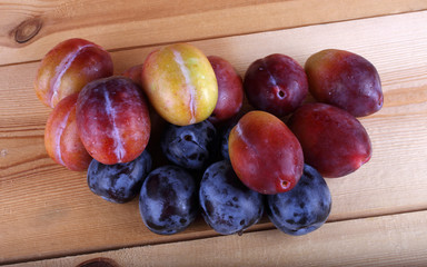 Wall Mural - Different color plums on table