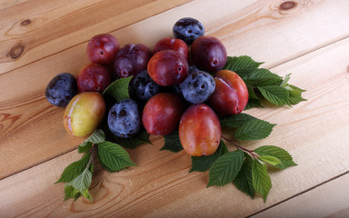 Wall Mural - Different color plums on table