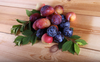 Sticker - Different color plums on table