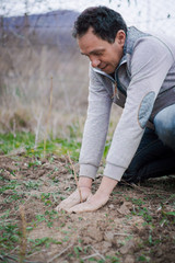 Older man planting a tree in a field on a spring cloudy day