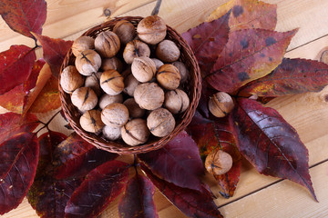 Sticker - Walnuts on table