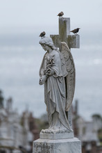 Birds Perching On Angel Statue At Cemetery