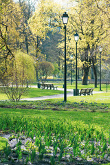 Beautiful park in spring with tulips old street lamps and benches, vertical