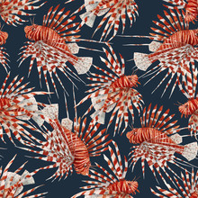Beautiful Vector Seamless Pattern With Watercolor Red Lionfish. Stock Illustration.