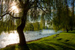 Spring morning by river Krka, Slovenia