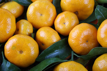 Poster - Mandarin oranges background