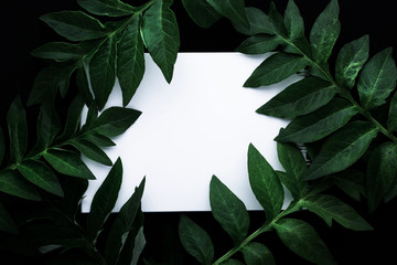 Wall Mural - Creative arrangement leaves on black background with paper card note. Flat lay. Minimal nature.