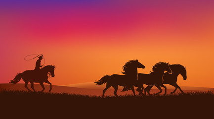 Wall Mural - cowboy rider chasing mustang horses herd and throwing lasso - wild west sunset landscape scene vector silhouette design