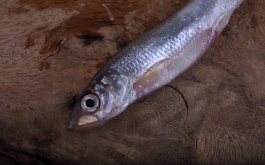 Sticker - Smelt fish on cutting board