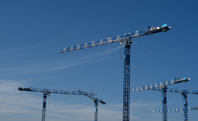 The big group of cranes at the building construction site on the sunny day with the beautiful clear sky during summer/spring season.Engineering construction concept.