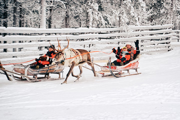 Poster - Couple greeting spectators during race on the Reindeer sleigh