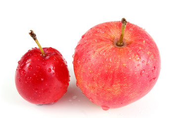 Poster - Apple and crabapple