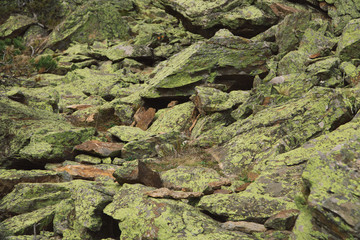 Big pile of boulders and mossy stones in the mountains of Dombay national park in autumn forest landscape, texture and backround