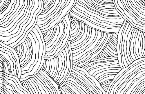 Fotografia Mushroom pattern