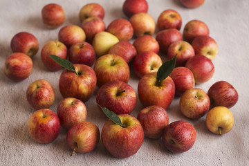  Red apples with leaves on a gray background