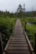 © Michelle - Wooden bridge on mountain trail