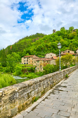 Wall Mural - View of the Castel San Niccolò, in Tuscany, Italy.