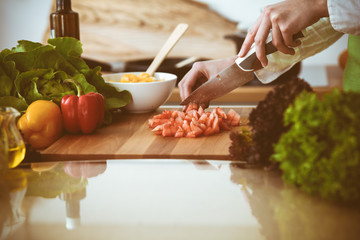 Unknown human hands cooking in kitchen. Woman slicing red tomatoes. Healthy meal, and vegetarian food concept