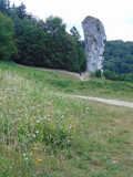 Fototapeta  - Ojcowski Park Narodowy, Skały, Maczuga Herkulesa, szlaki Turystyczne w Polsce Góry