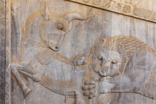 Bas-reliefs In Persepolis