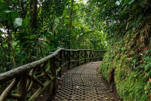 National Park In Costa Rica.