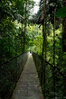 © Mauro Grigollo Photographer/Stocksy - Crossing a hanging bridge during an adventure trip in Costa Rica