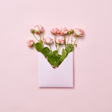 Roses In An Envelope On A Pastel Background.