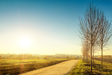 Wall Mural - sunset at city park landscape with spring nature against moscow city skyline background Wide street view of garden with trees and road Vintage stylized photo